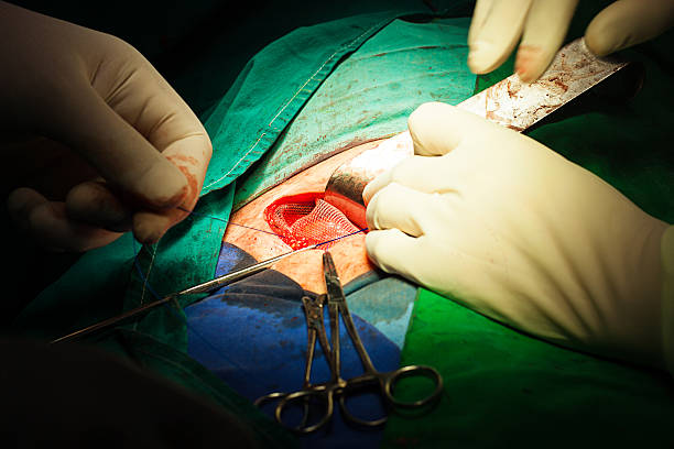 best hernia repair treatment in virar